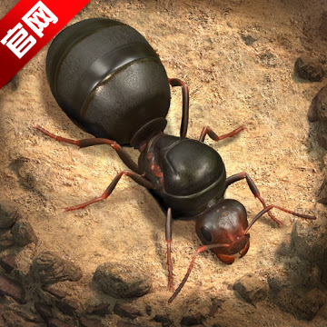 小小蚁国海外国际版官方下载(The Ants)